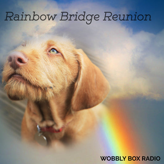 Rainbow Bridge Reunion