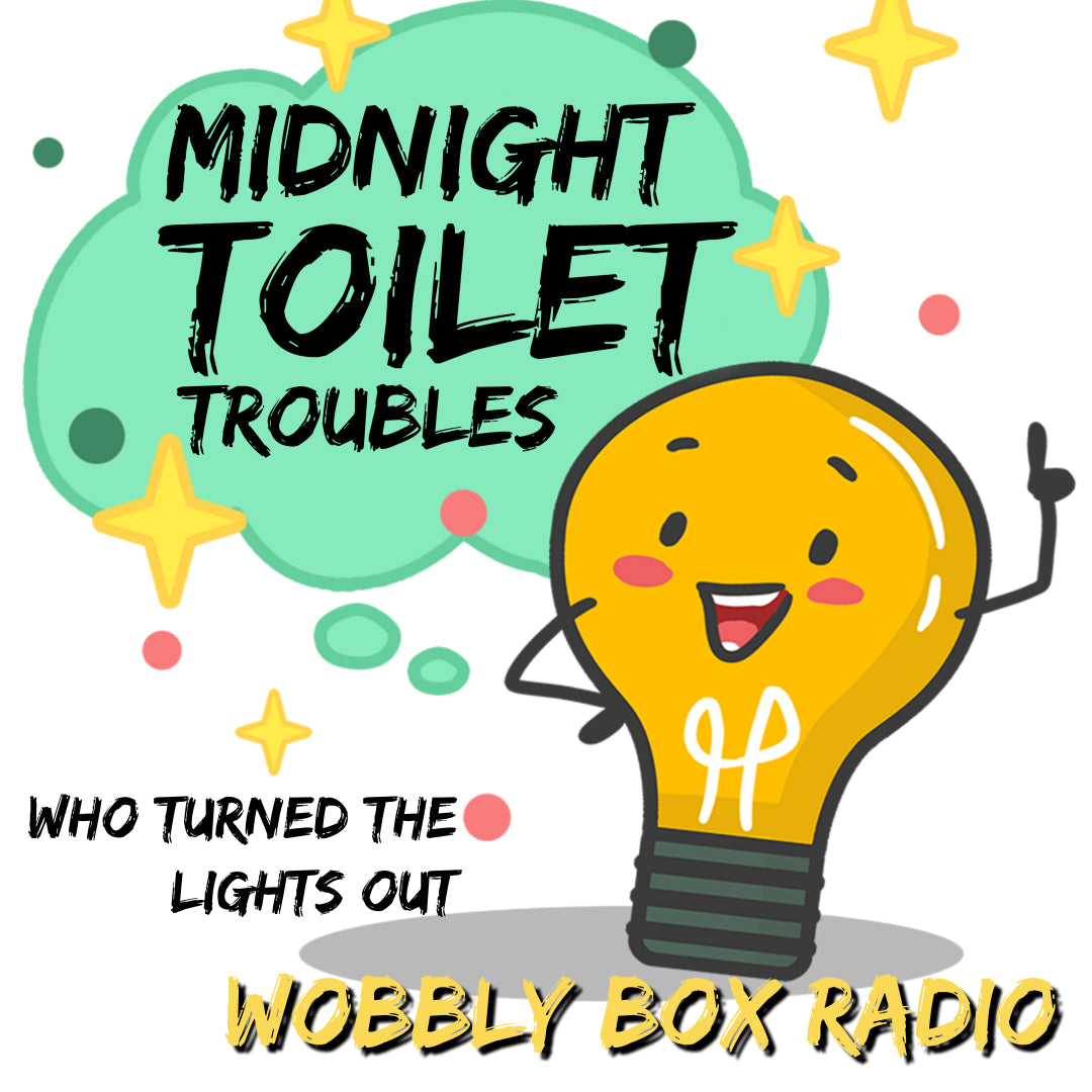 Midnight Toilet Troubles